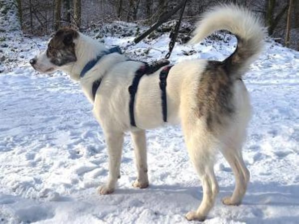 ONNA * Zaubermaus mit ganz großem Herzen