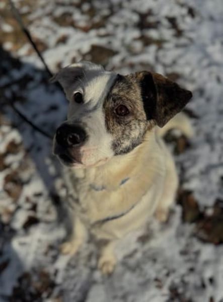 ONNA * Zaubermaus mit ganz großem Herzen