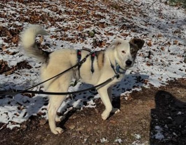 ONNA * Zaubermaus mit ganz großem Herzen