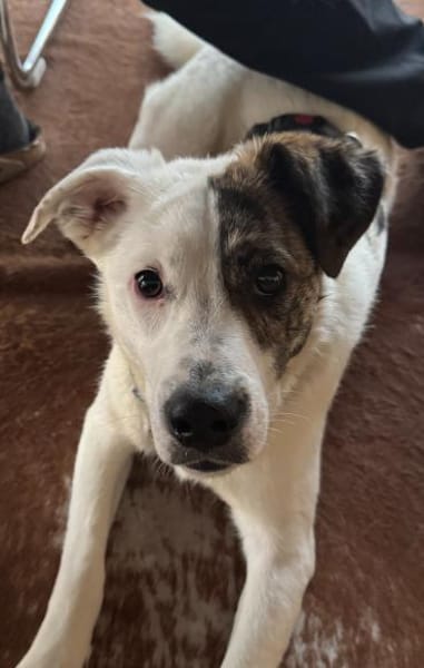 ONNA * Zaubermaus mit ganz großem Herzen