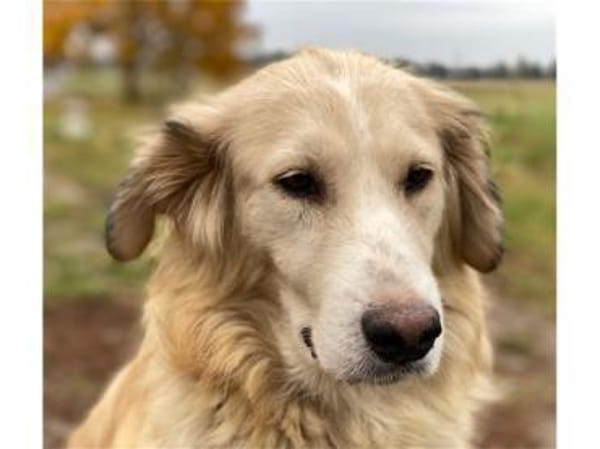 Narisara - Gnadenplatz gesucht!