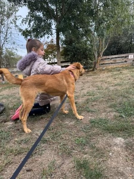 sanfte Hazel sucht ihre Familie