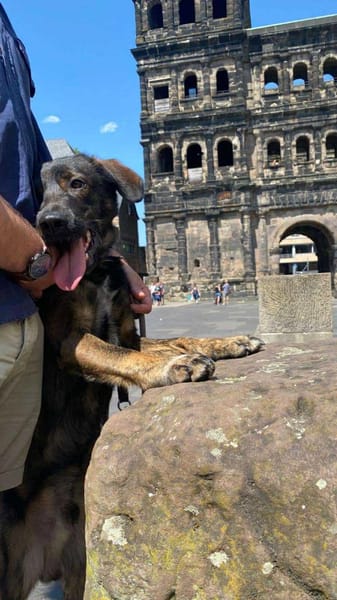 Bruno - der liebevolle Beschützer