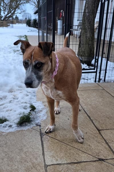 Aktive Seniorin sucht Ihresgleichen