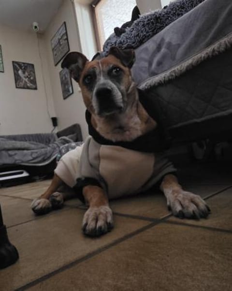 Aktive Seniorin sucht Ihresgleichen