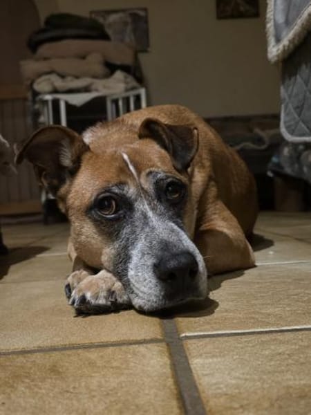 Aktive Seniorin sucht Ihresgleichen