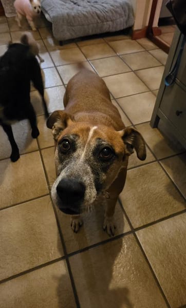 Aktive Seniorin sucht Ihresgleichen