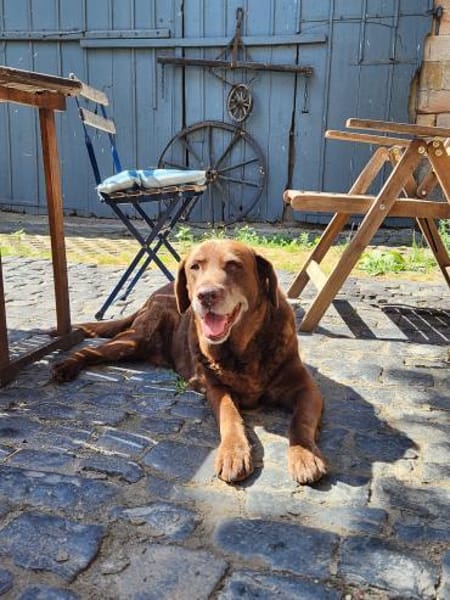 BARNIE  14 Jahre und kein bisschen müde