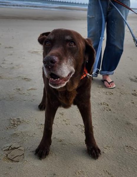 BARNIE  14 Jahre und kein bisschen müde