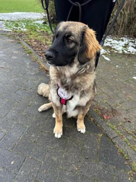 Inara sucht ihre Familie 🌸💖