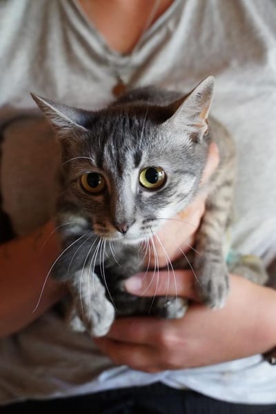 Lumi - unsere zarte Seele sucht Liebe