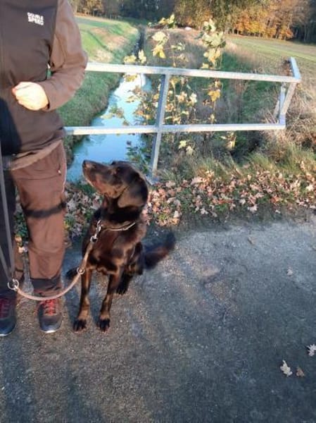 Bobby sucht schon so lange