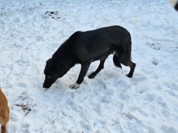 Lillesol - möchte glücklich sein