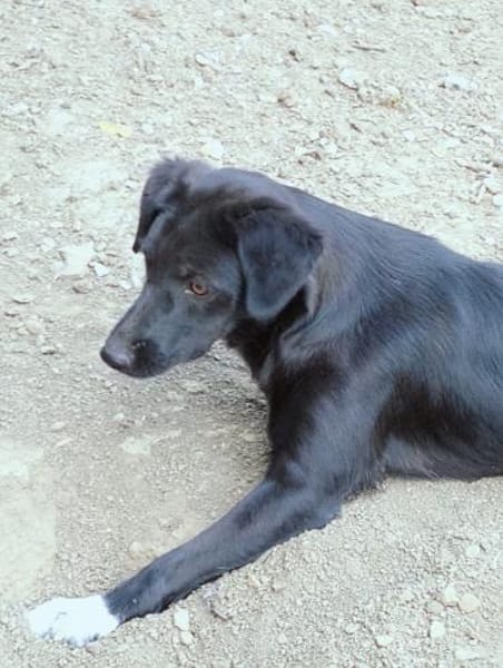 Lillesol - möchte glücklich sein