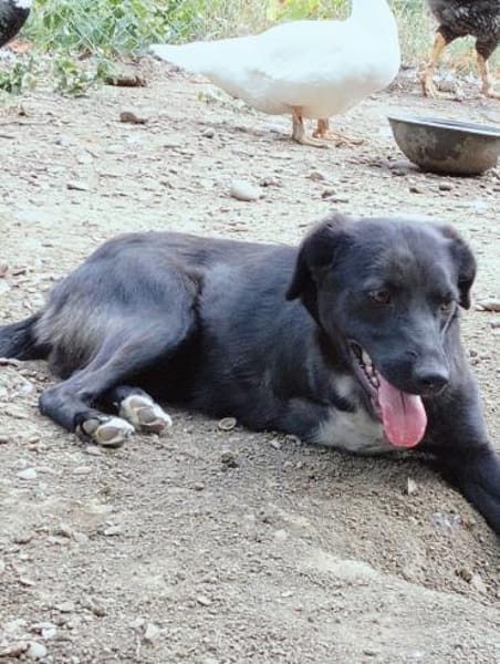 Lillesol - möchte glücklich sein