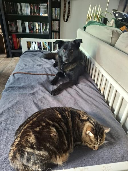 Whoopi - ist sehr menschenbezogen