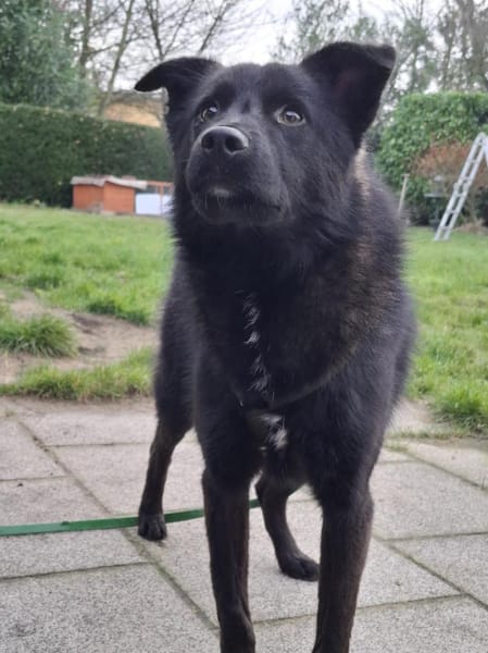 Whoopi - ist sehr menschenbezogen