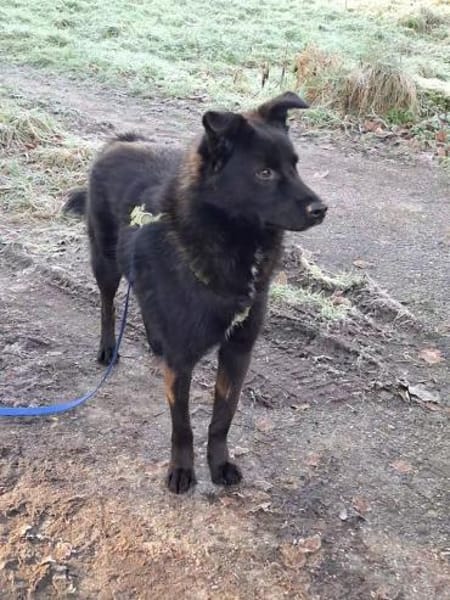 Whoopi - ist sehr menschenbezogen