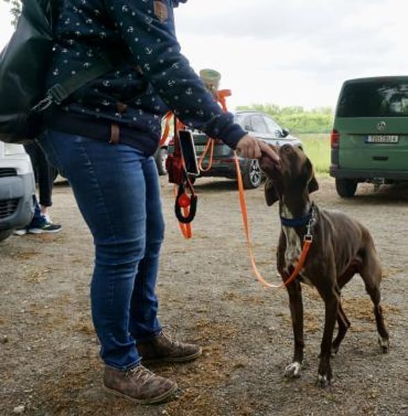 Asia, respektvoll, lernwillig, offen