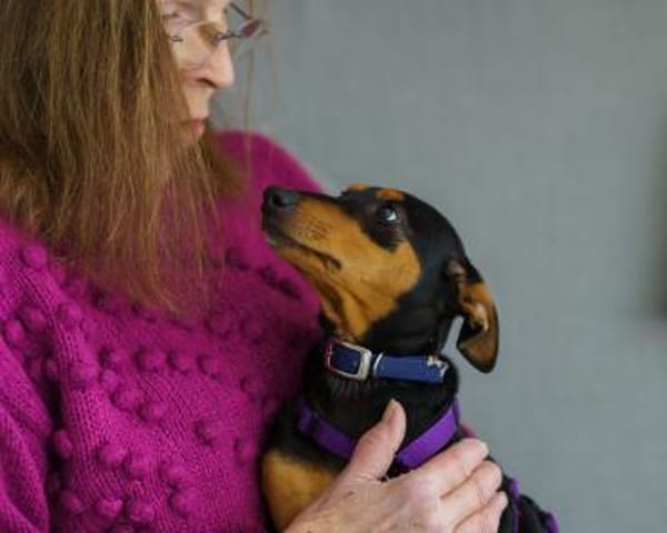 Franky2 sucht ein Zuhause