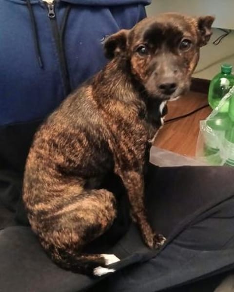 Nani3 sucht ein Zuhause