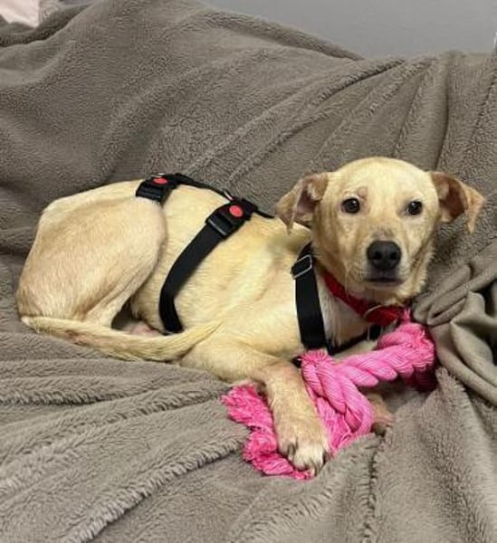 Ilvy - menschenbezogen - in DE