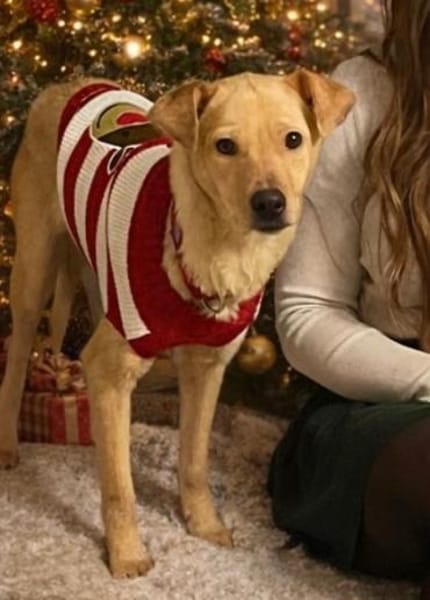 Ilvy - menschenbezogen - in DE