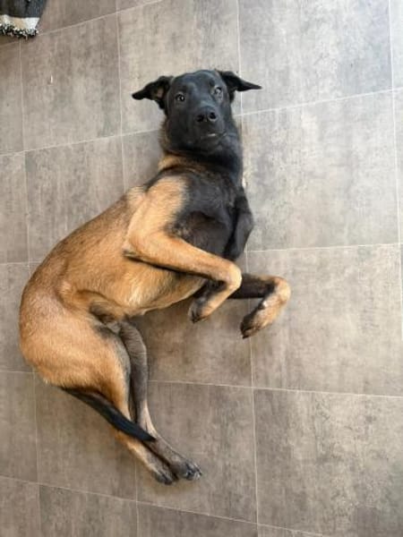 FURIO - arbeitsfreudig und lernwillig