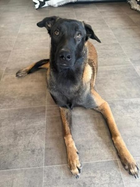 FURIO - arbeitsfreudig und lernwillig