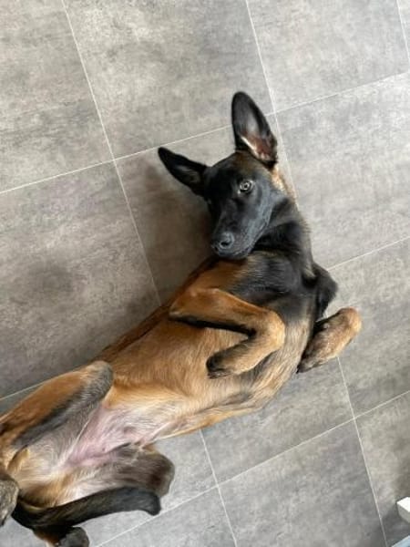 FURIO - arbeitsfreudig und lernwillig