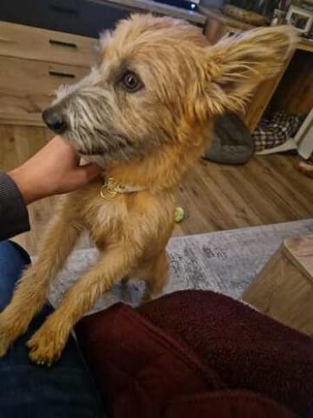 Pia 3 -neugierig und aufgeweckt-