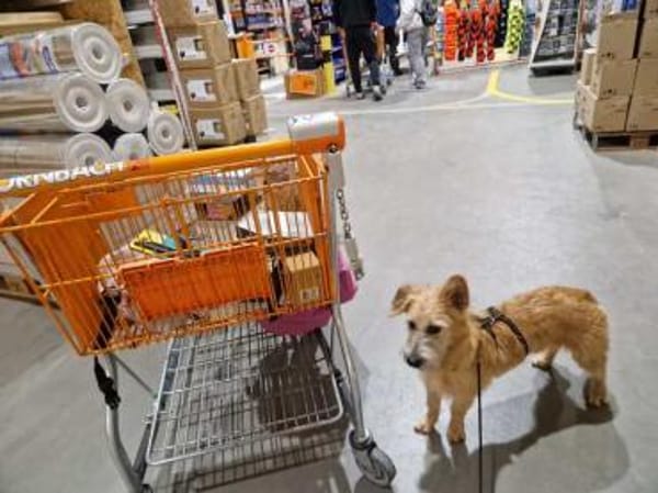 Pia 3 -neugierig und aufgeweckt-