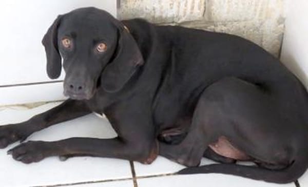 Mommy -liebt Menschen,die sie kennt-