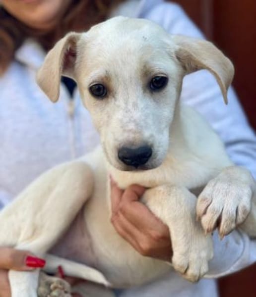 Ambra sucht ein Körbchen  🥰