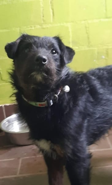 Sid - auf ICE AGE Spuren