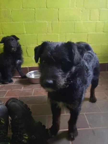 Sid - auf ICE AGE Spuren