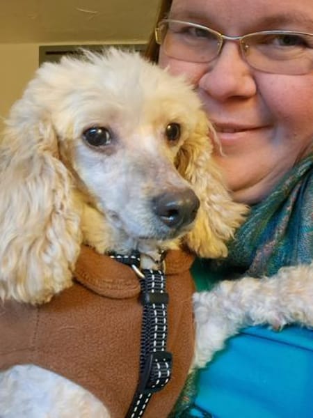 Gizi, liebes Pudelmädchen geb. 2018