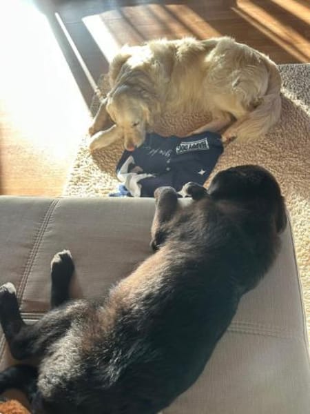 Spencersucht sein großes Glück