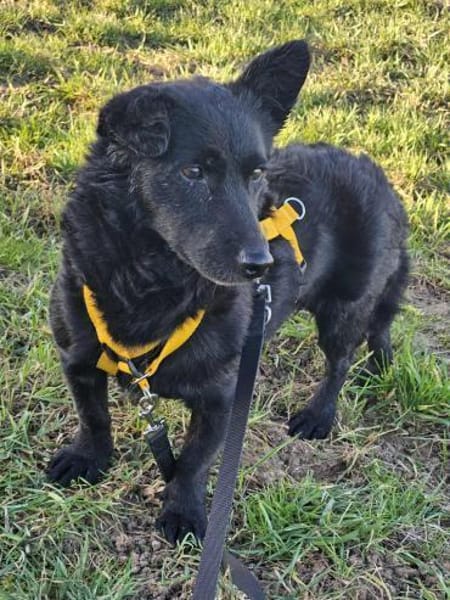 Cora mag erlebnisreiche Spaziergänge