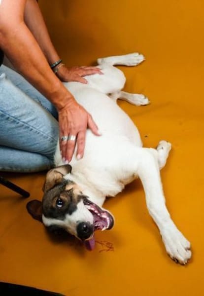 Luna sucht ihr Glück