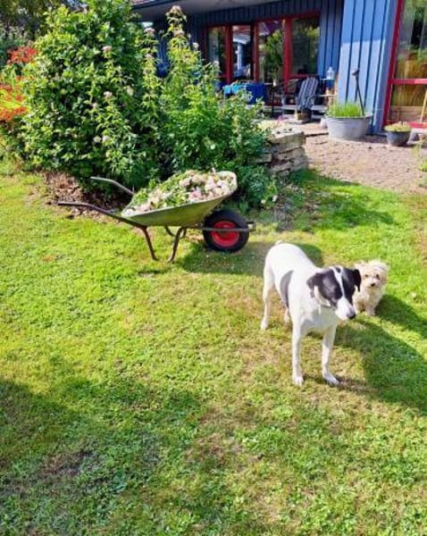 Oliver 💚💚💚 braucht neues Zuhause