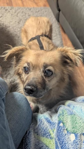 Süße Molly❤ sucht Kuschelflat