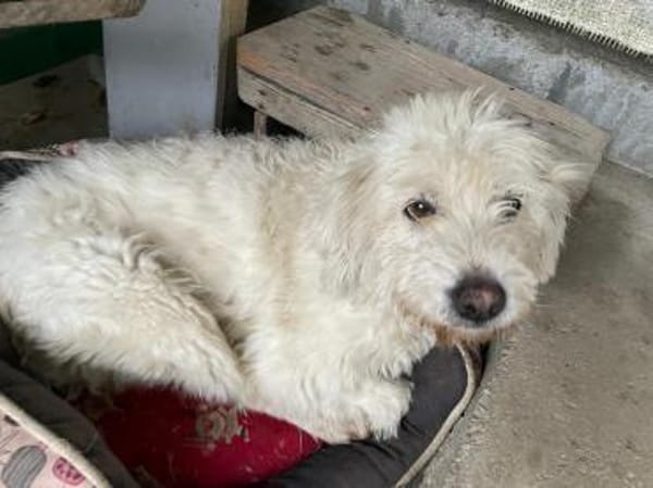 Alma, pfiffig und voller Lebensfreude