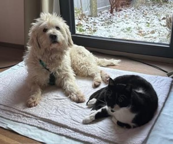 Alma, pfiffig und voller Lebensfreude