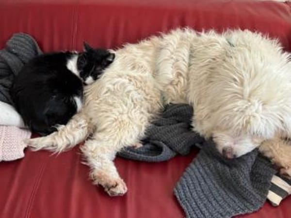 Alma, pfiffig und voller Lebensfreude