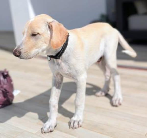 Neo wartet auf seine Familie