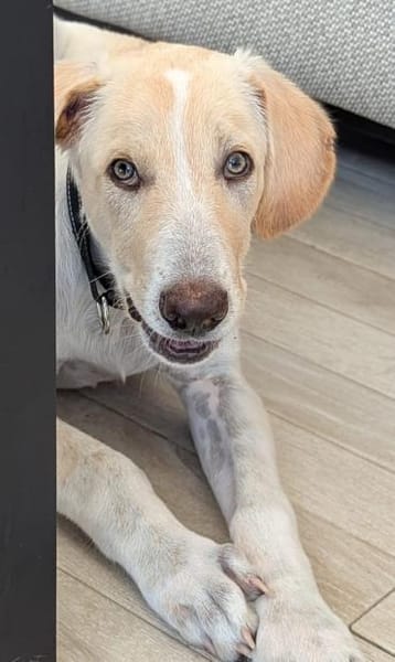 Neo wartet auf seine Familie