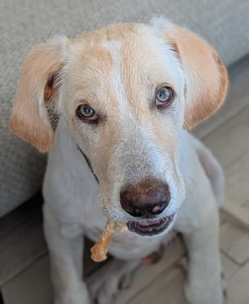 Neo wartet auf seine Familie