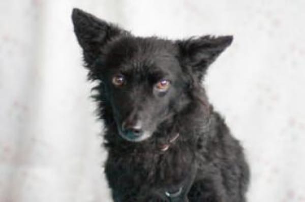 MARENA - liebenswert&intelligent