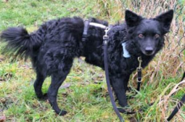 MARENA - liebenswert&intelligent